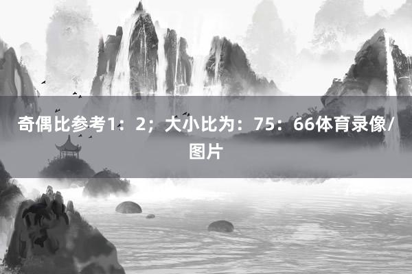 奇偶比参考1：2；大小比为：75：66体育录像/图片