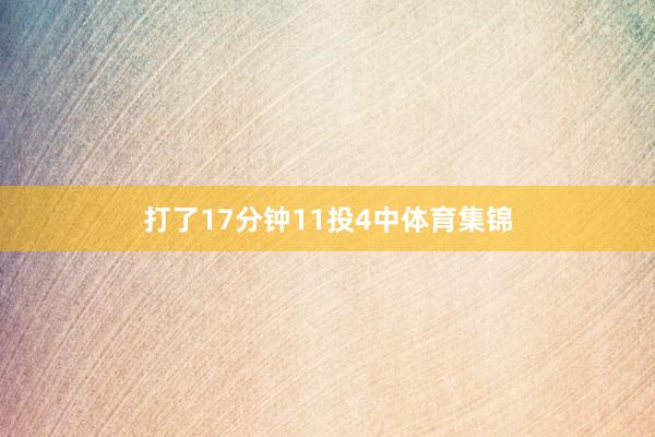 打了17分钟11投4中体育集锦