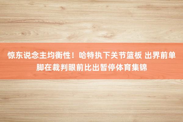 惊东说念主均衡性！哈特执下关节篮板 出界前单脚在裁判眼前比出暂停体育集锦