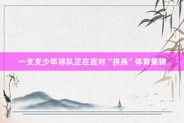 一支支少年球队正在捉对“拼杀”体育集锦