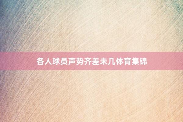 各人球员声势齐差未几体育集锦