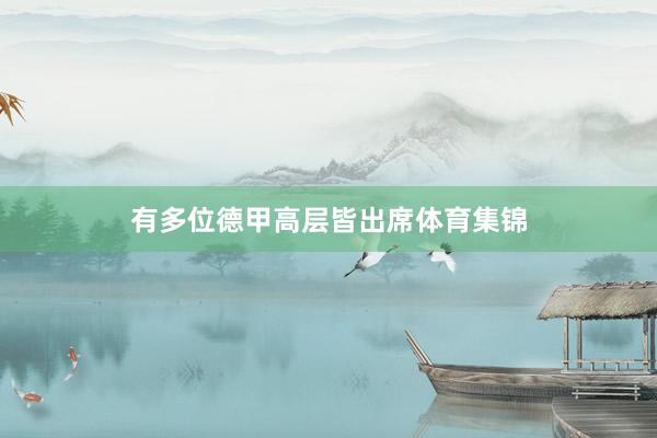 有多位德甲高层皆出席体育集锦