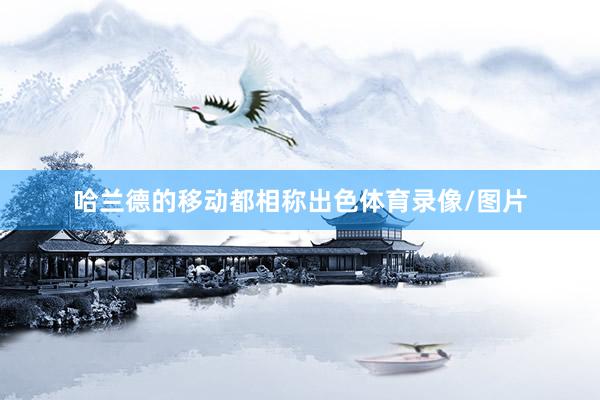 哈兰德的移动都相称出色体育录像/图片