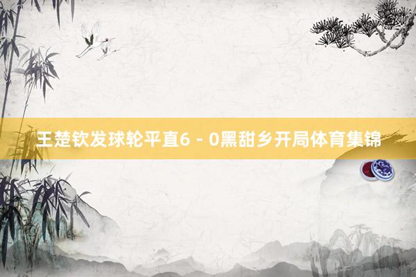 王楚钦发球轮平直6 - 0黑甜乡开局体育集锦