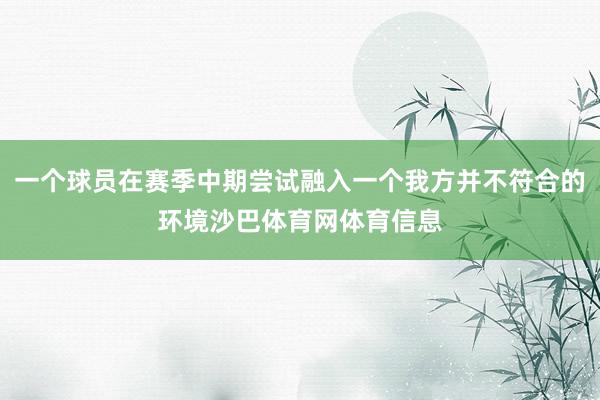 一个球员在赛季中期尝试融入一个我方并不符合的环境沙巴体育网体育信息