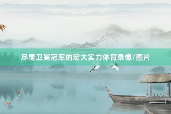 尽显卫冕冠军的宏大实力体育录像/图片
