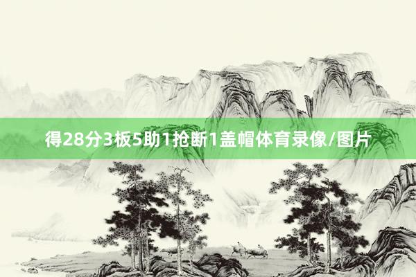 得28分3板5助1抢断1盖帽体育录像/图片
