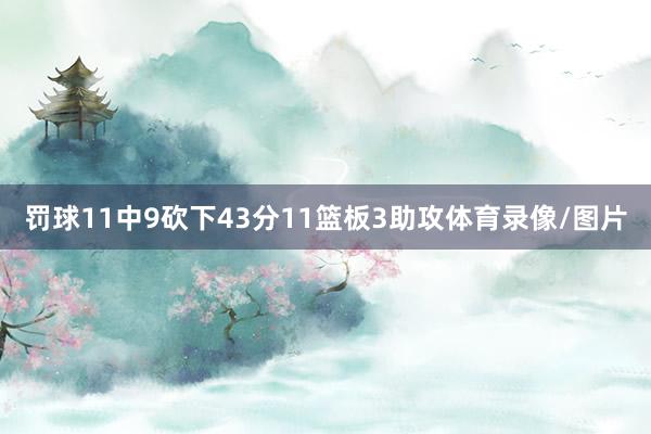 罚球11中9砍下43分11篮板3助攻体育录像/图片