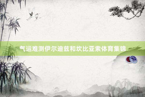 气运难测伊尔迪兹和坎比亚索体育集锦