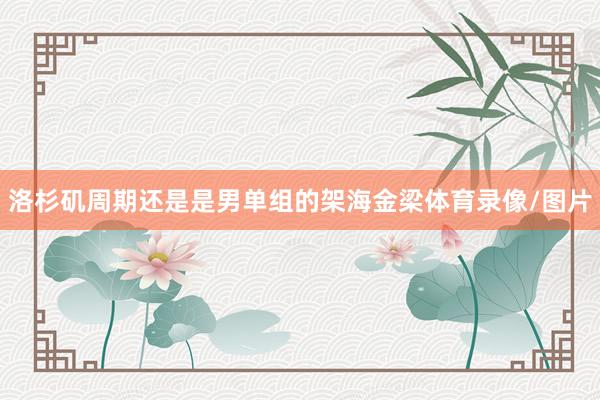 洛杉矶周期还是是男单组的架海金梁体育录像/图片