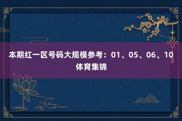 本期红一区号码大规模参考：01、05、06、10体育集锦