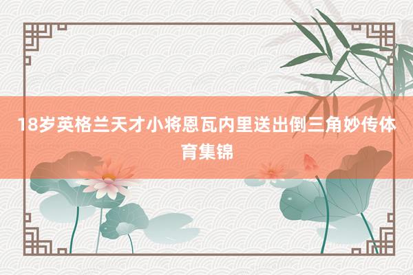 18岁英格兰天才小将恩瓦内里送出倒三角妙传体育集锦