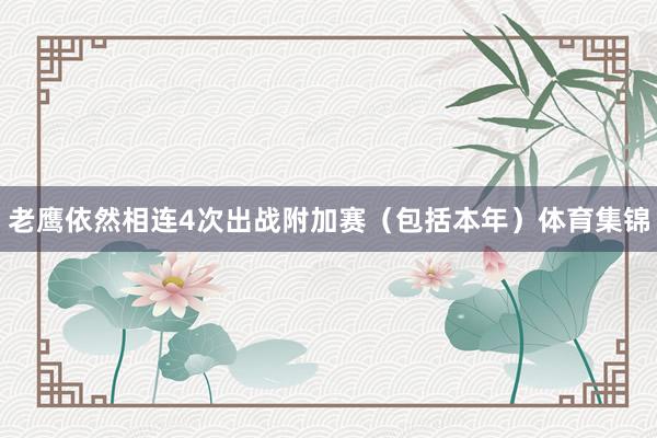 老鹰依然相连4次出战附加赛（包括本年）体育集锦