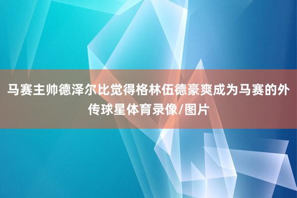 马赛主帅德泽尔比觉得格林伍德豪爽成为马赛的外传球星体育录像/图片