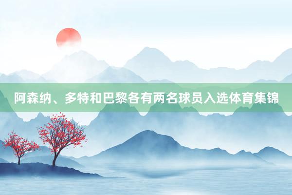 阿森纳、多特和巴黎各有两名球员入选体育集锦