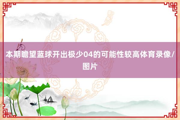 本期瞻望蓝球开出极少04的可能性较高体育录像/图片