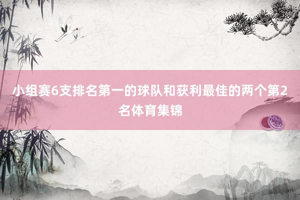 小组赛6支排名第一的球队和获利最佳的两个第2名体育集锦