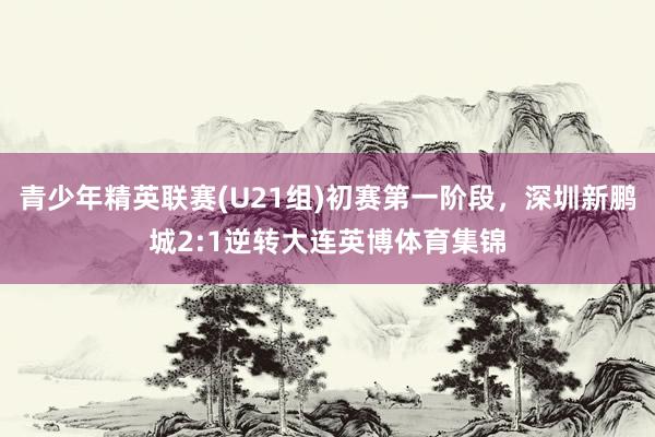 青少年精英联赛(U21组)初赛第一阶段，深圳新鹏城2:1逆转大连英博体育集锦