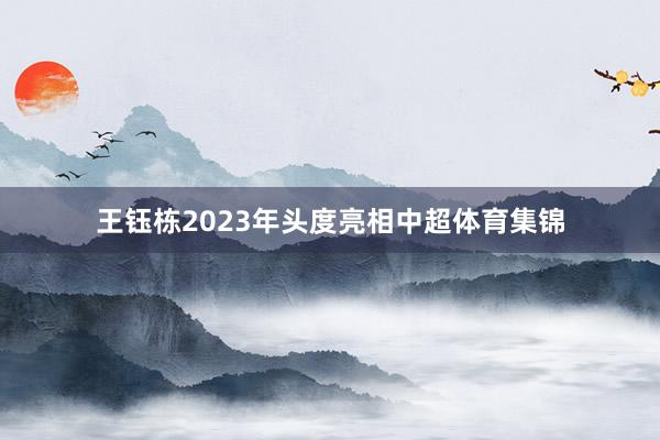王钰栋2023年头度亮相中超体育集锦
