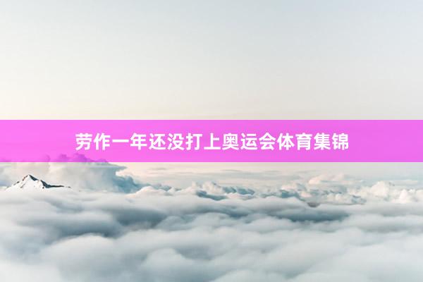 劳作一年还没打上奥运会体育集锦