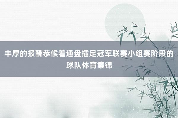 丰厚的报酬恭候着通盘插足冠军联赛小组赛阶段的球队体育集锦