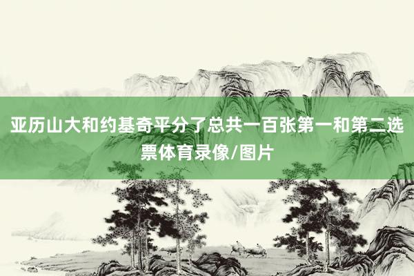 亚历山大和约基奇平分了总共一百张第一和第二选票体育录像/图片