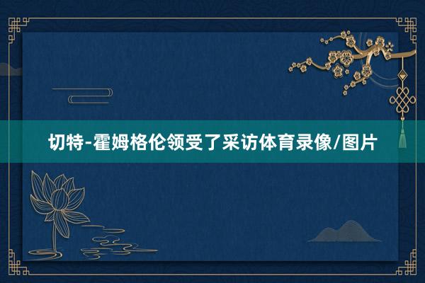 切特-霍姆格伦领受了采访体育录像/图片