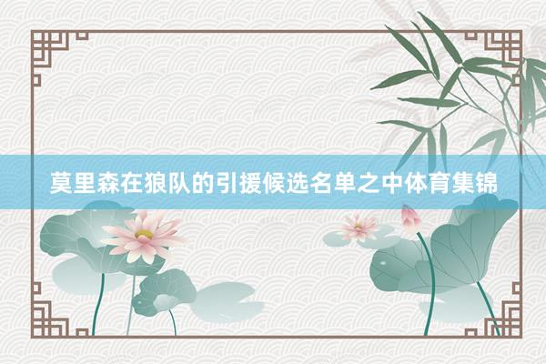 莫里森在狼队的引援候选名单之中体育集锦