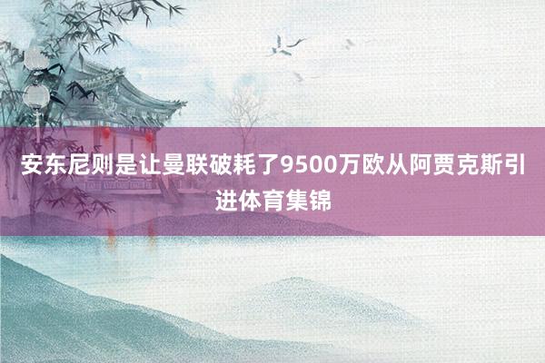 安东尼则是让曼联破耗了9500万欧从阿贾克斯引进体育集锦