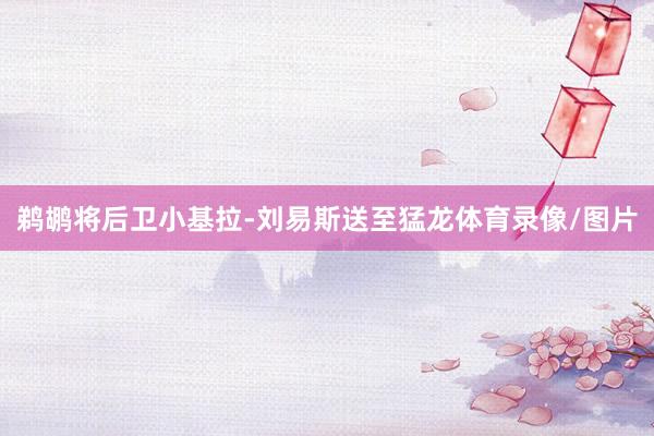 鹈鹕将后卫小基拉-刘易斯送至猛龙体育录像/图片