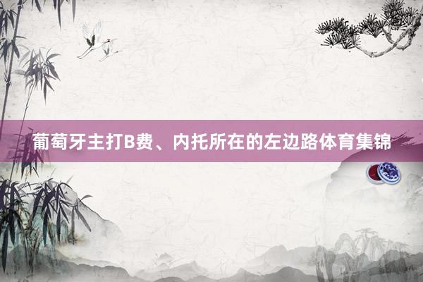 葡萄牙主打B费、内托所在的左边路体育集锦