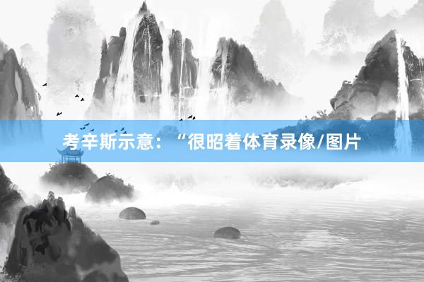 考辛斯示意：“很昭着体育录像/图片