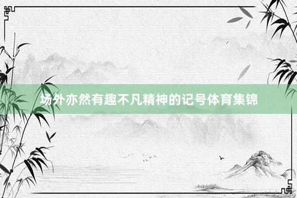 场外亦然有趣不凡精神的记号体育集锦