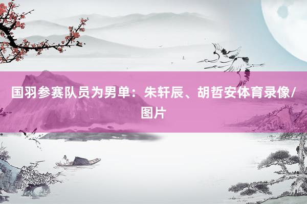 国羽参赛队员为男单：朱轩辰、胡哲安体育录像/图片