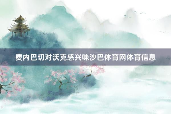 费内巴切对沃克感兴味沙巴体育网体育信息
