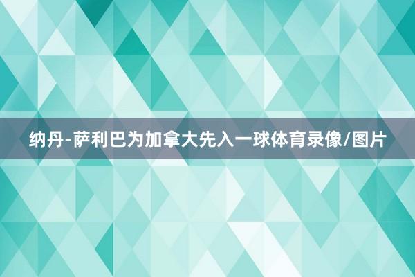 纳丹-萨利巴为加拿大先入一球体育录像/图片