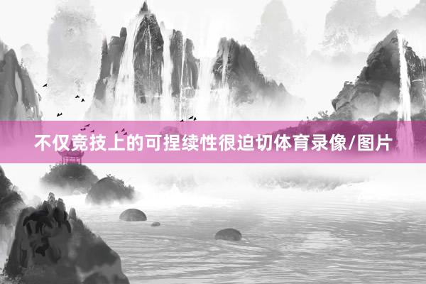 不仅竞技上的可捏续性很迫切体育录像/图片
