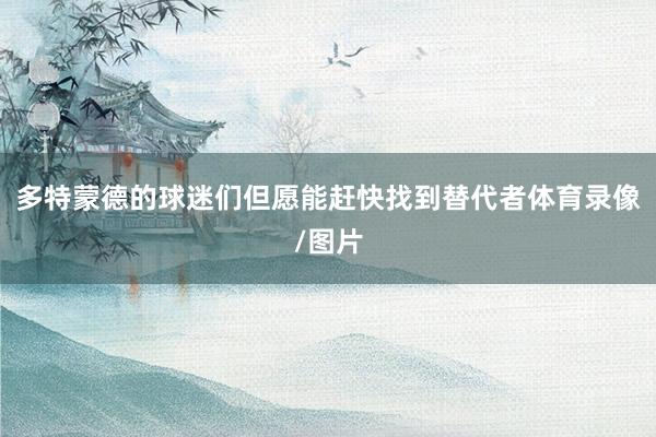 多特蒙德的球迷们但愿能赶快找到替代者体育录像/图片