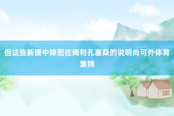 但这些新援中除图拉姆和孔塞桑的说明尚可外体育集锦