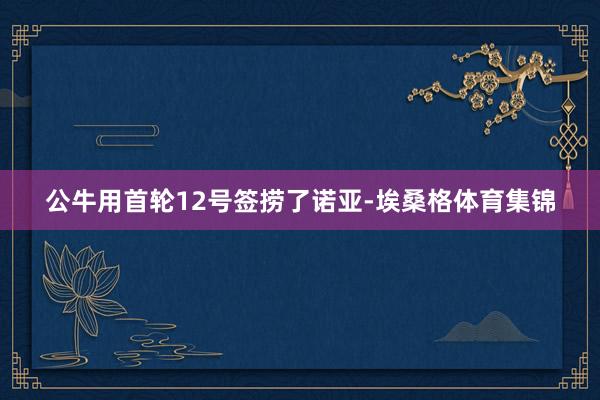 公牛用首轮12号签捞了诺亚-埃桑格体育集锦
