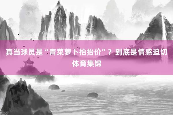真当球员是“青菜萝卜抬抬价”？到底是情感迫切体育集锦