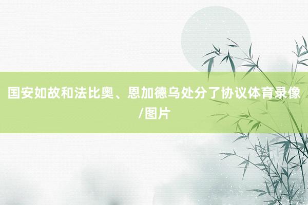 国安如故和法比奥、恩加德乌处分了协议体育录像/图片