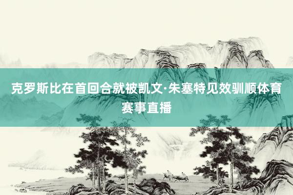 克罗斯比在首回合就被凯文·朱塞特见效驯顺体育赛事直播
