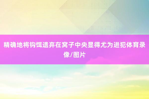 精确地将钩饵遗弃在窝子中央显得尤为进犯体育录像/图片