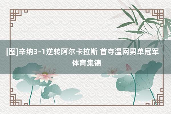 [图]辛纳3-1逆转阿尔卡拉斯 首夺温网男单冠军    体育集锦