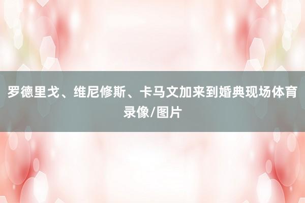 罗德里戈、维尼修斯、卡马文加来到婚典现场体育录像/图片