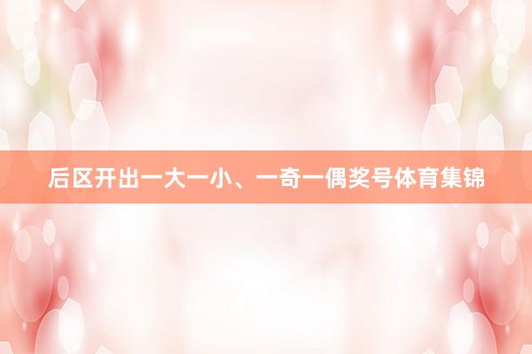后区开出一大一小、一奇一偶奖号体育集锦