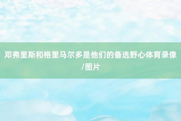 邓弗里斯和格里马尔多是他们的备选野心体育录像/图片