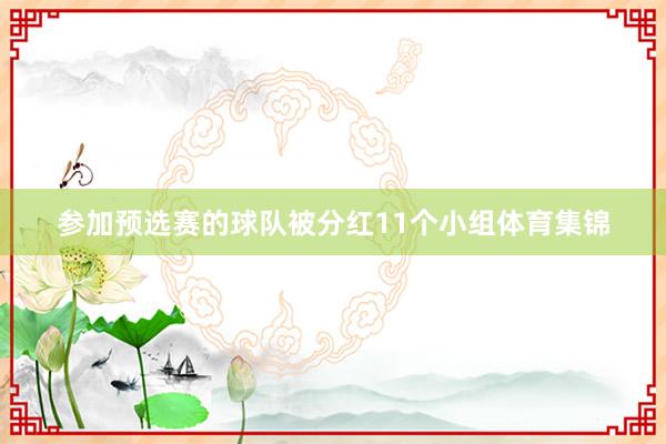 参加预选赛的球队被分红11个小组体育集锦