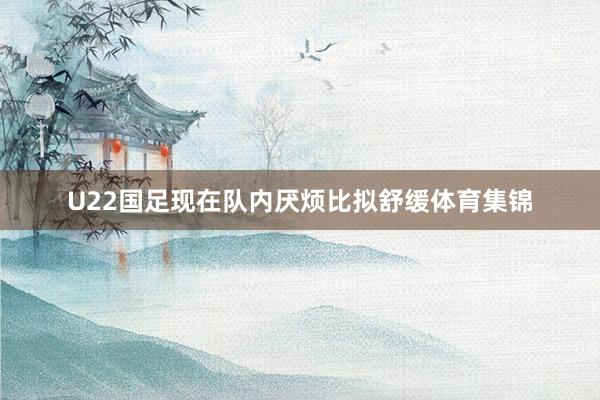 U22国足现在队内厌烦比拟舒缓体育集锦